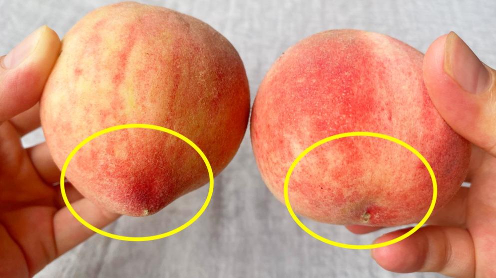 购买桃子的如何挑学会这5个技巧,老瓜农教你挑选桃子