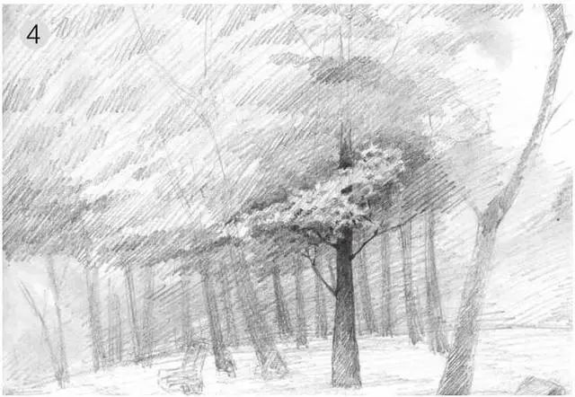 树林素描简单画法,树林中的光影画简单素描