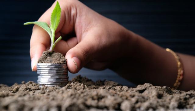 他从40万元起步做农药，如今身价33亿，未来还将布局工业*麻大**