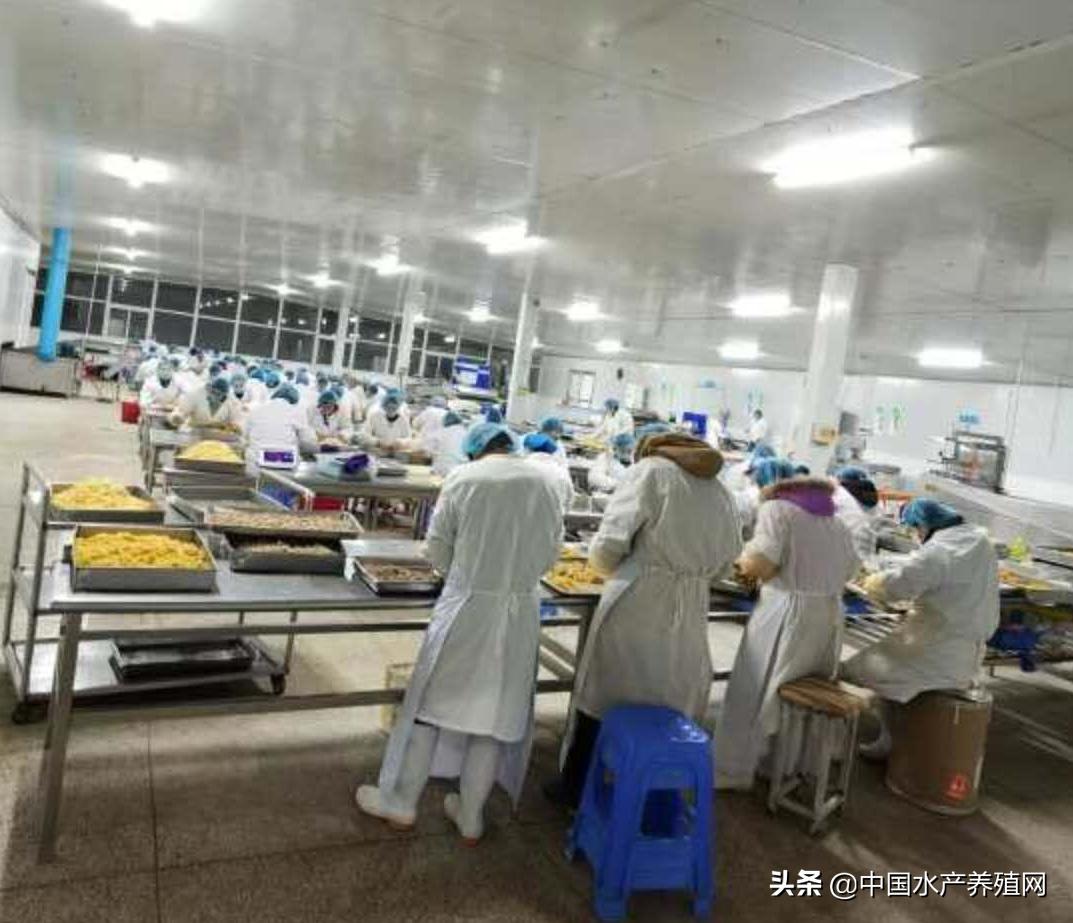 他白手起家，90年代便将河蟹出口国外！生态养蟹20余年，听女山湖畔的传奇“蟹王”，再话蟹人蟹事