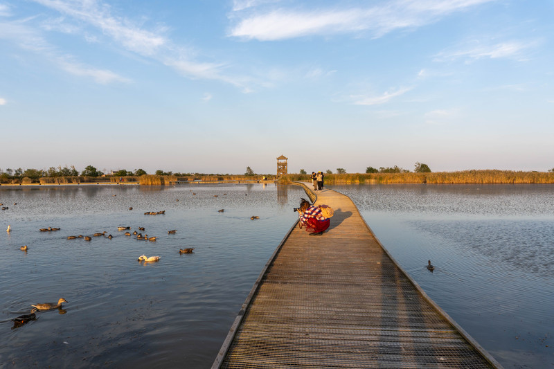森林麋鹿公园,森林麋鹿