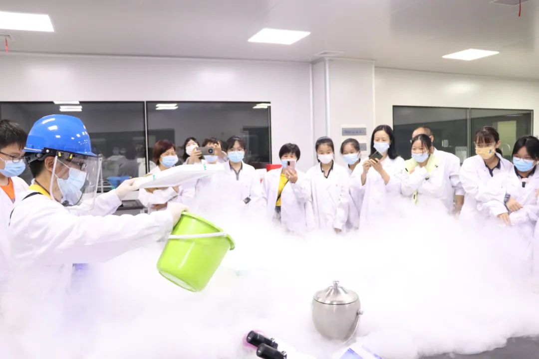 青竹湖湘一外国语学校一校两址,青竹湖湘一外国语学校分校