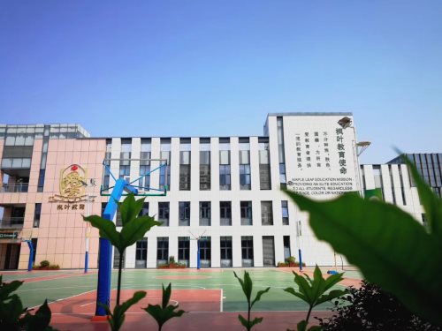 龙岗区的高中有哪些,深圳龙岗区学校排行榜高中