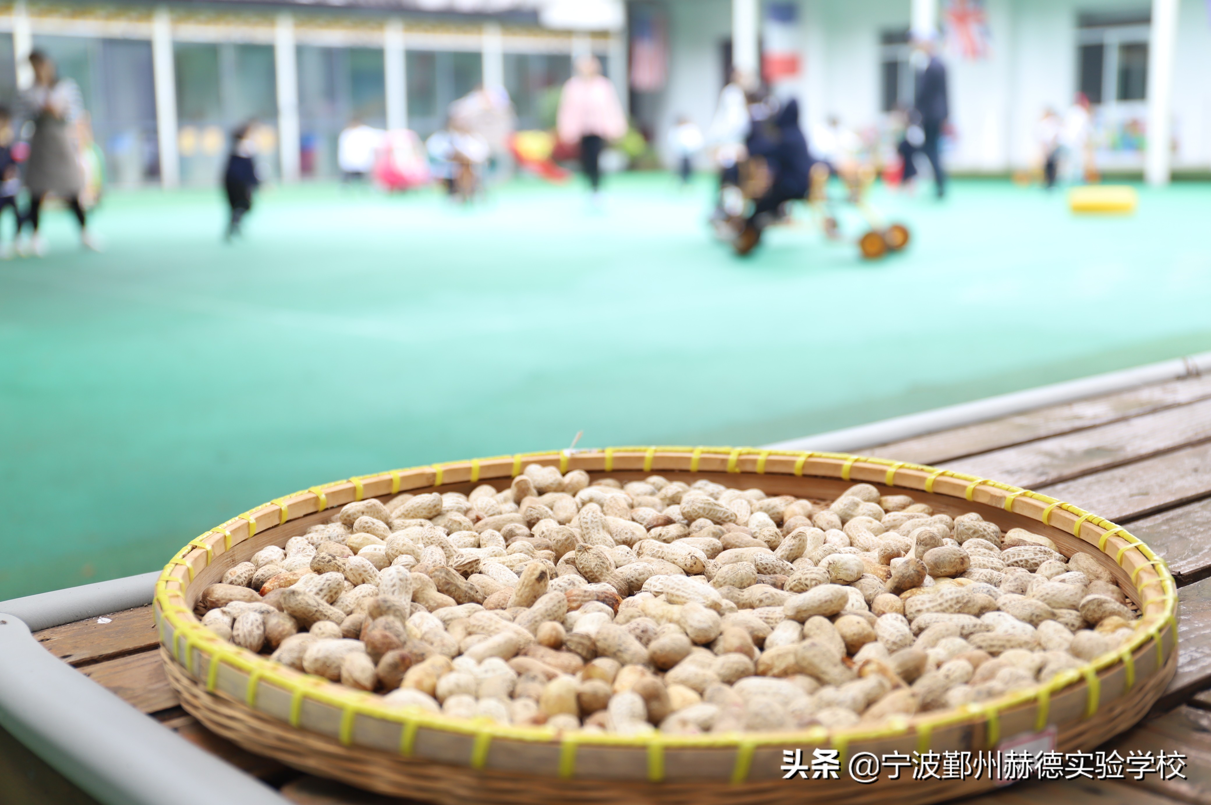 这所“相貌平平”的幼儿园，为什么宁波家长排着队想把孩子送进去