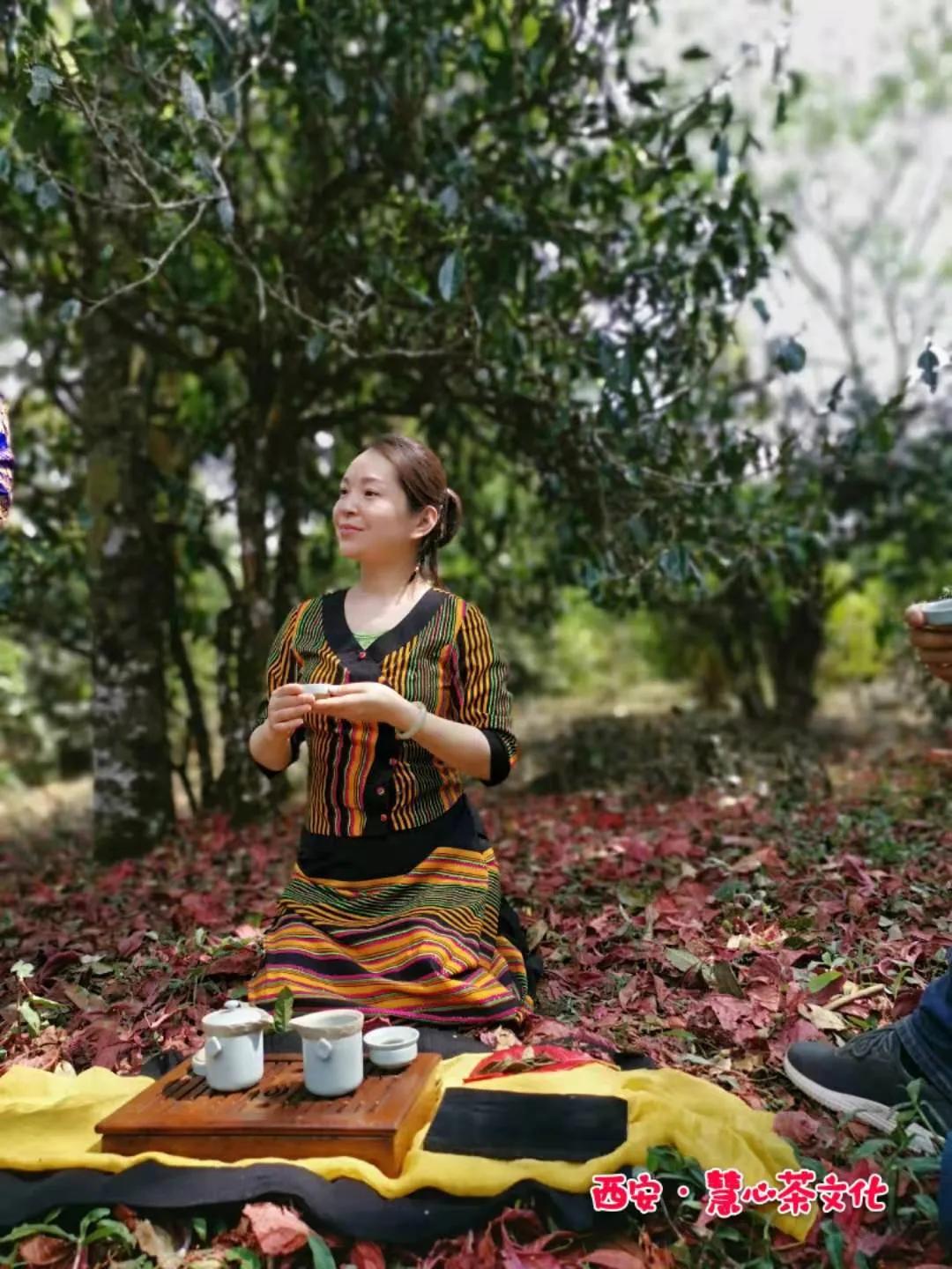 妃玲茶艺直播间靠谱吗,妃玲茶艺最新视频