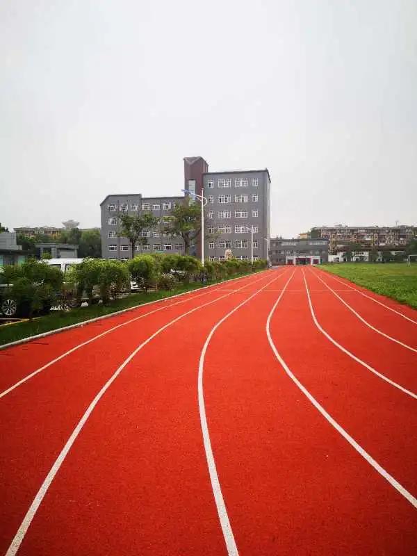 徐州鼓楼区树成学校官网,徐州市鼓楼区树成小学怎么样