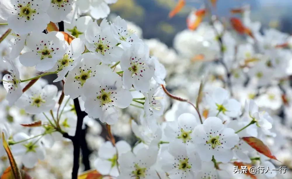 河南太行山悬崖古村,林州太行绝美古村落