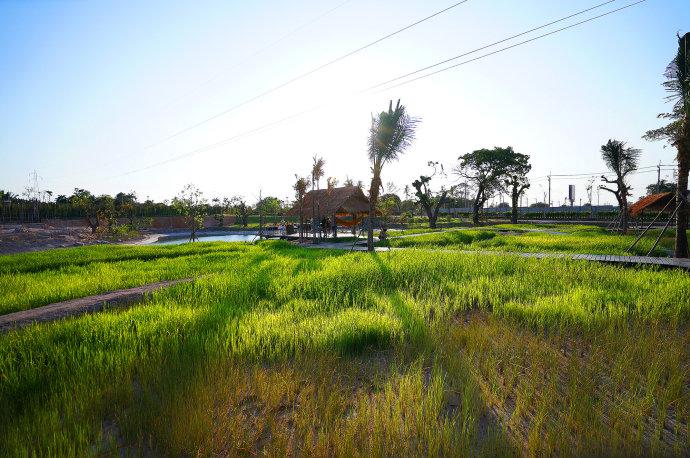 泰国暹罗古城打卡,超过半数中国游客前往泰国