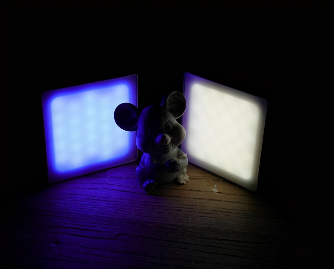 洋葱布朗尼补光灯 (洋葱工厂布朗尼摄影灯套装)