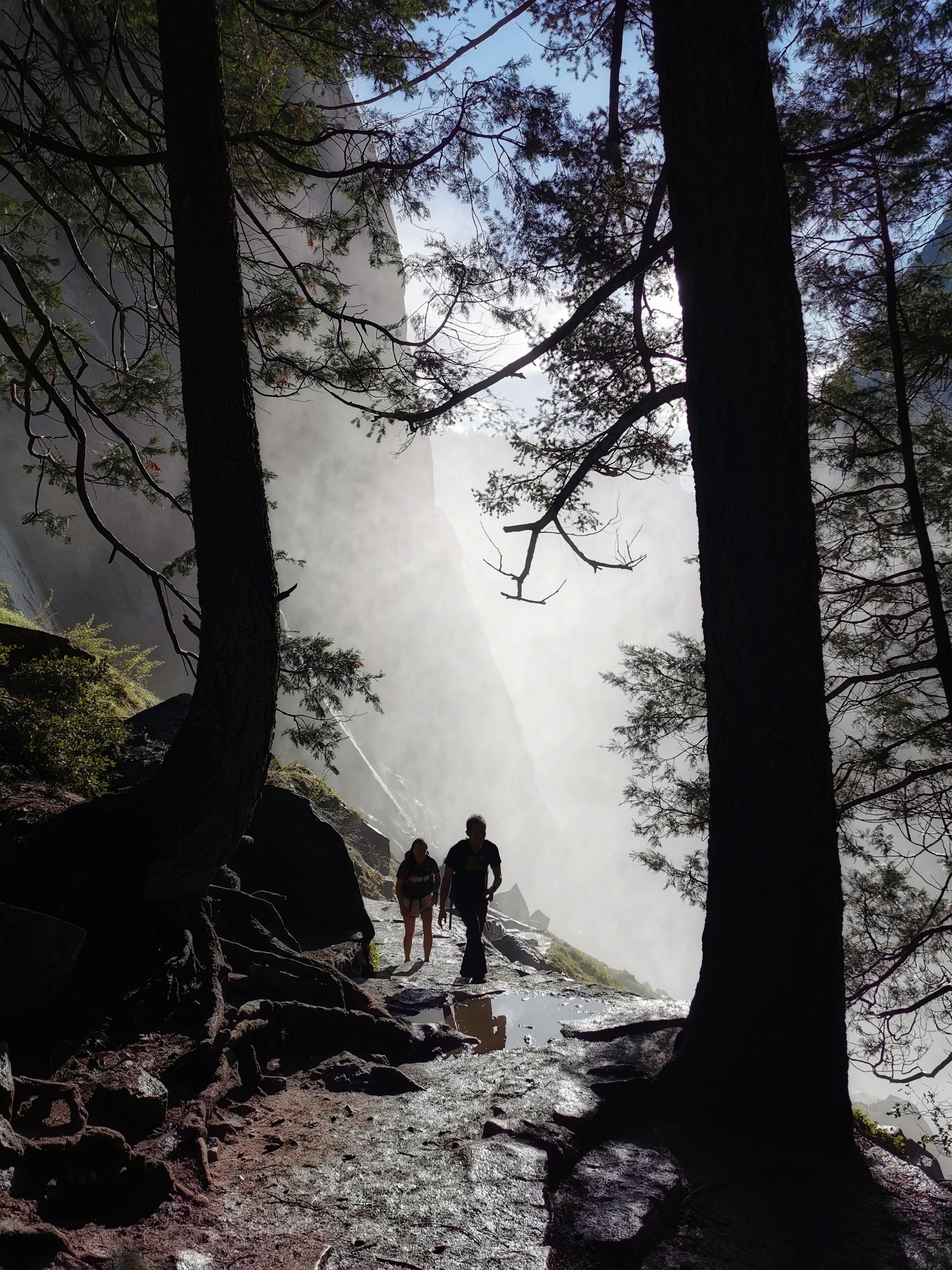 加利福尼亚优胜美地,美国旧金山优胜美地