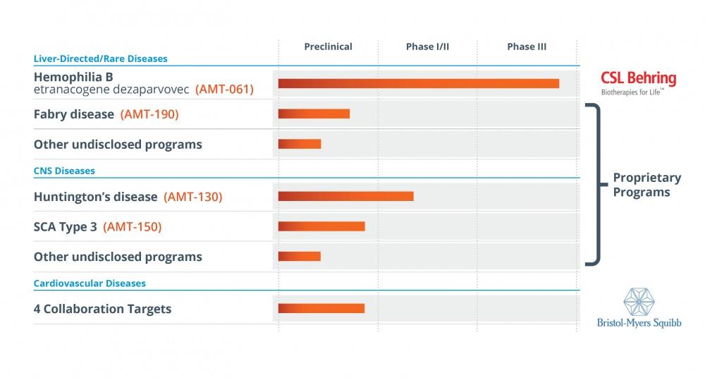 基因药物,基因免疫药物