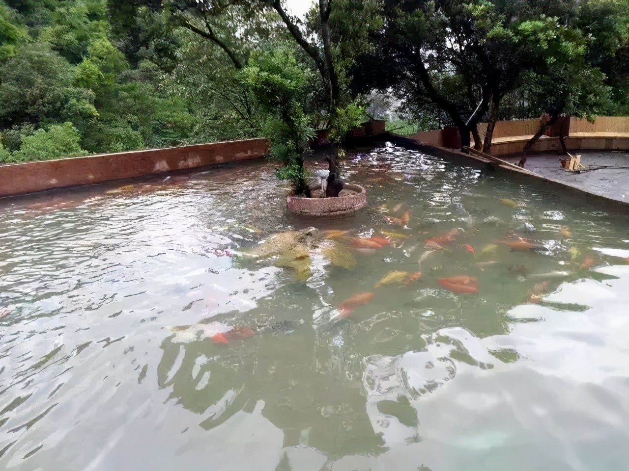 温州吹台山木屋农家乐预订号码,吹台山生态农庄