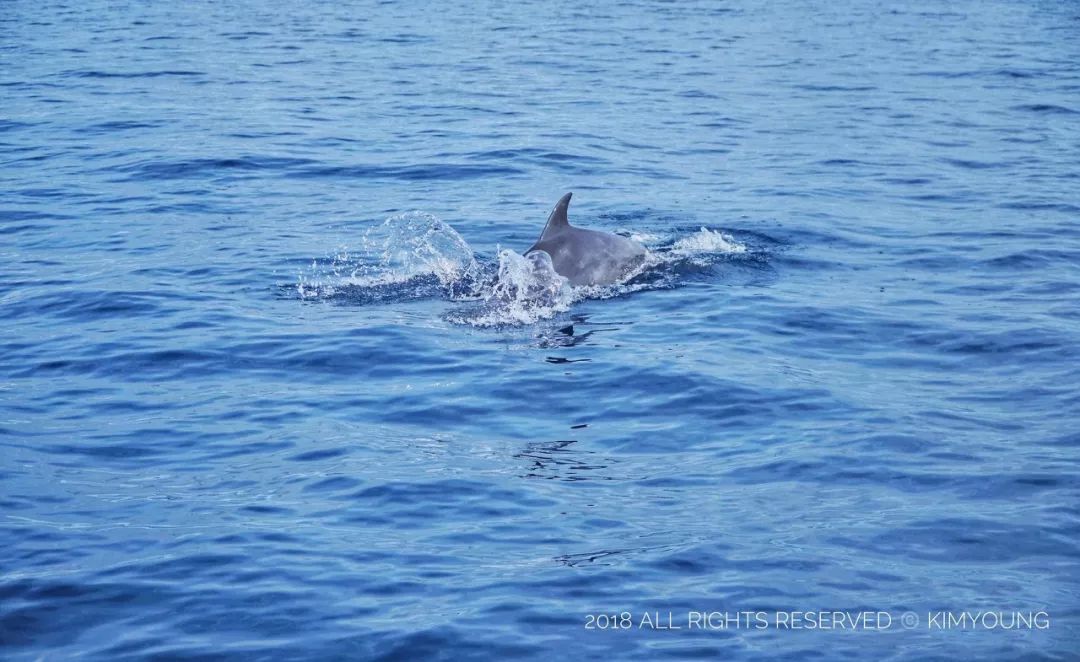 南美洲哪个国家对中国免签,中国免签的欧洲国家有哪些