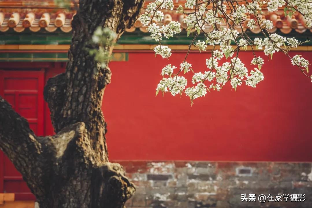 北京故宫旅行拍摄教程,北京故宫拍摄全景攻略