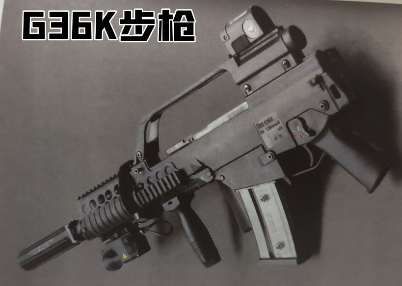 英国枪史图册全篇,德国枪图片