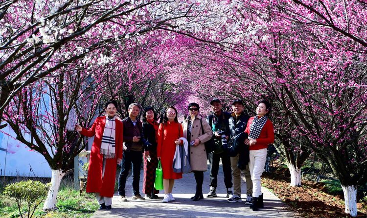 傅家边野营,走进金溪傅家村