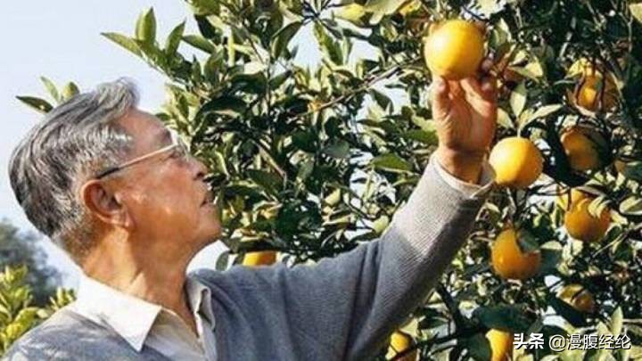 总结褚时健最好的一段话,褚时健成功不可复制更无法激励你