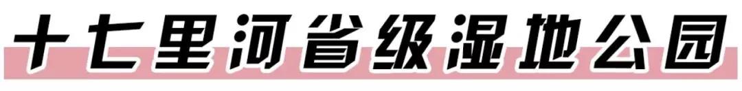 郑州免费游玩公园推荐,郑州新公园开放了吗