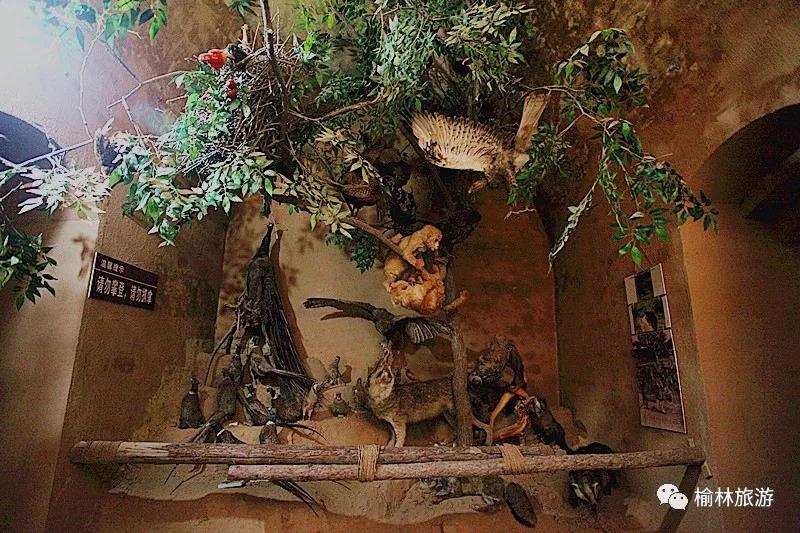 榆林周围历史博物馆推荐第一名,榆林十大博物馆