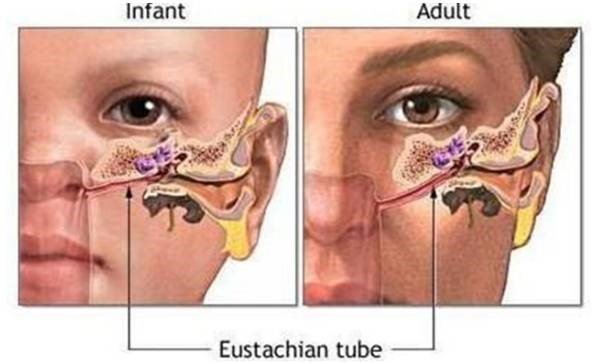 宝宝鼻子不通气的小妙招有哪些,宝宝鼻子不通气快速缓解小妙招