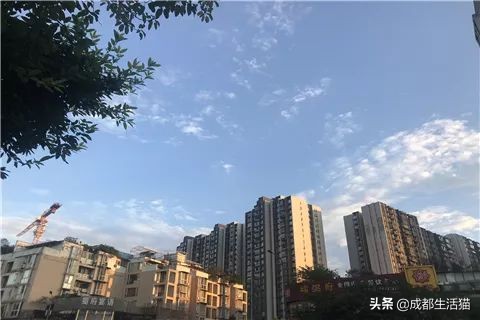 成都高新区办理暂住证在哪里,老年人成都暂住证怎么办理