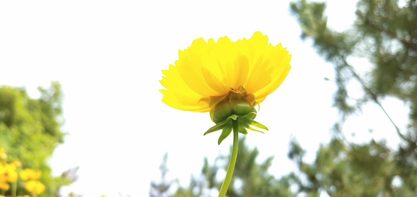 腰间盘突出是风水问题吗,腰间盘突出跟哪里风水有关