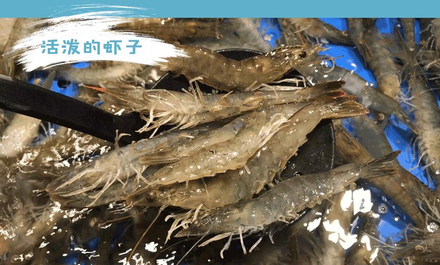 全球美食聚集城南这座“岛屿”，均价不到1块钱！