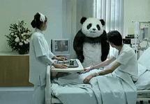 2020年摄影点评部分低分照片合集(下)(前方大量熊猫出没)