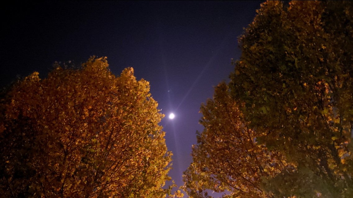 最美古文短篇100篇,一生必背10篇著名古文小学生