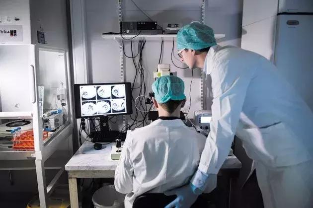 基因编辑婴儿被敲掉的位点什么来头？曾治愈艾滋病患现却走火入魔