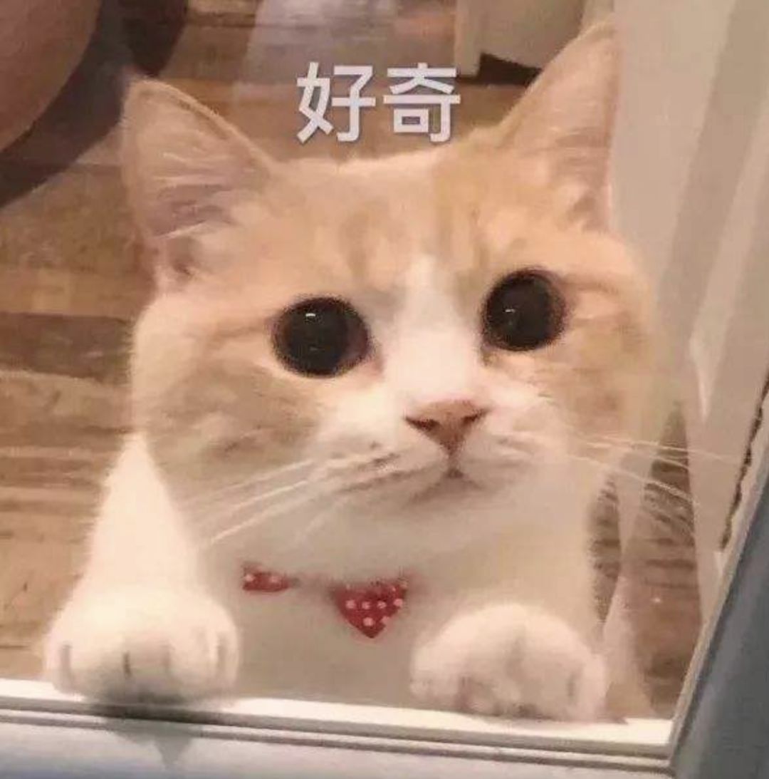 广州市三级以上的医院,广州看妇科最好医院是什么医院