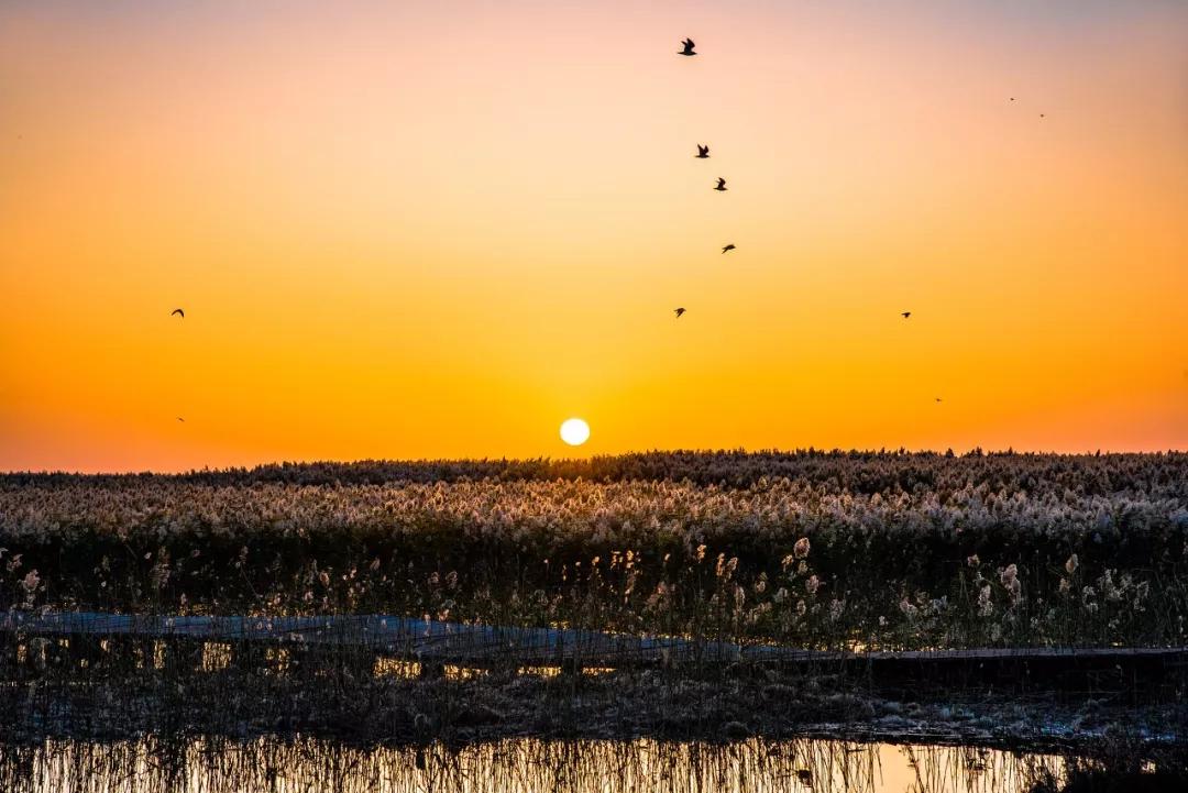 10个适合一个人去的小众旅行地,人少景美的小众旅行地夏季
