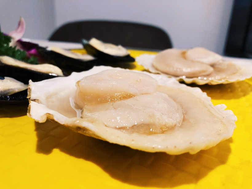 附近河豚鱼美食推荐,河豚鱼美食