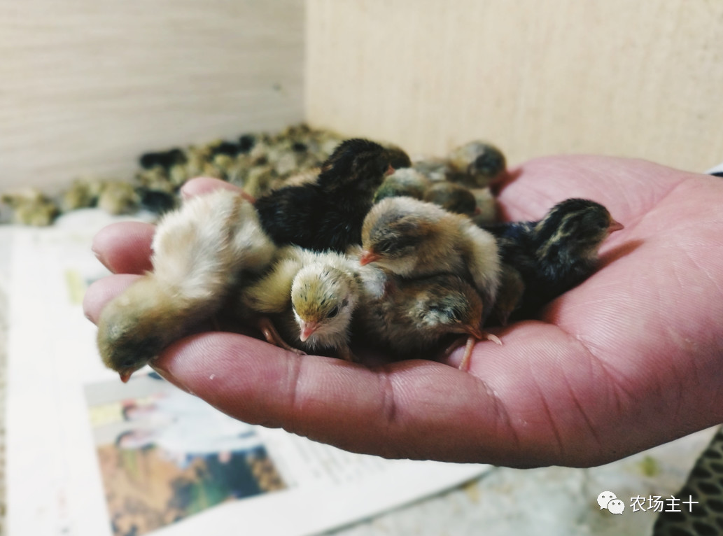 从乞丐到身价200万仅用一年时间,从乞讨到名相的传奇人生