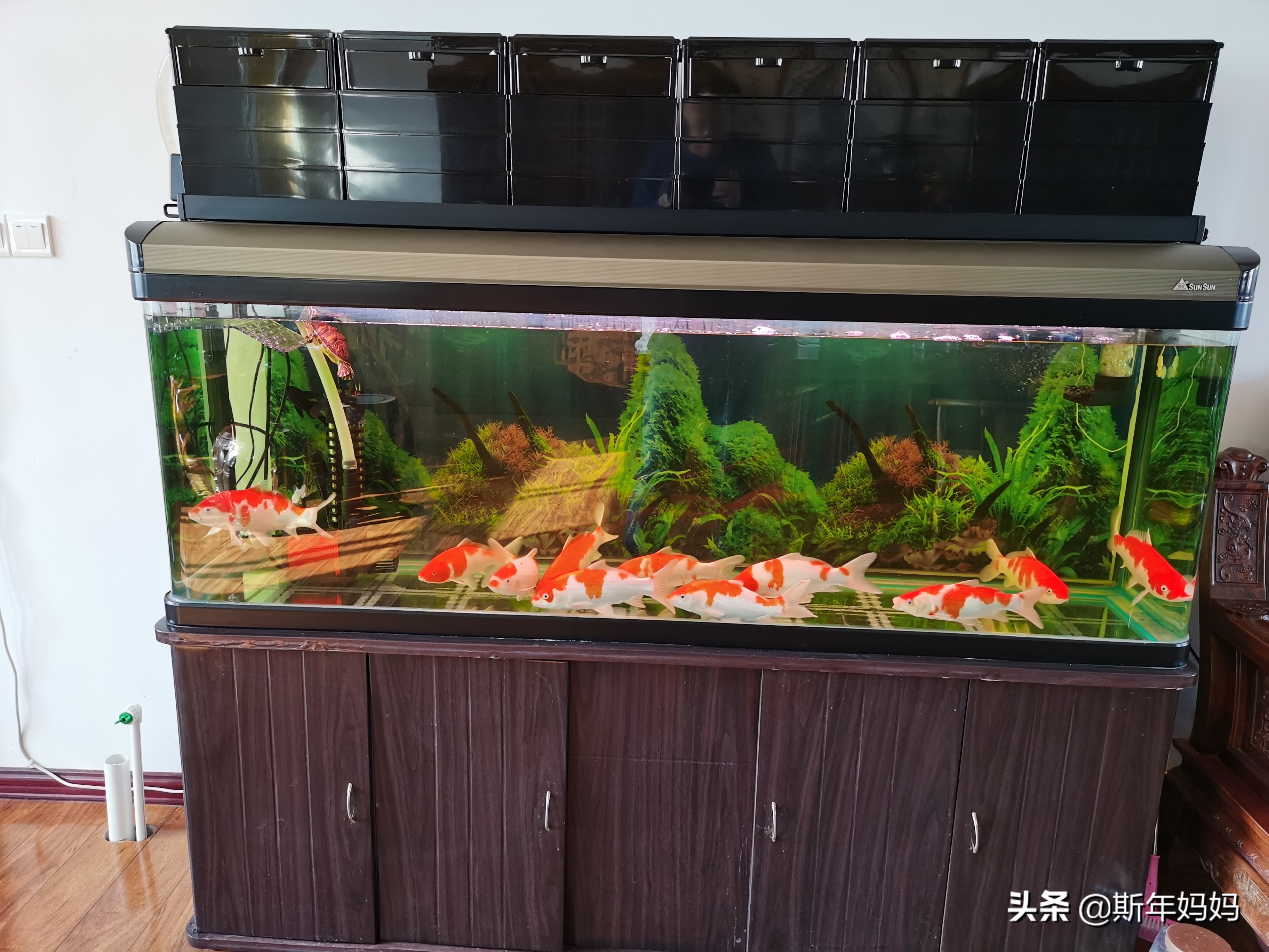 森森鱼缸改上滤滴流盒,森森老款1.8米鱼缸底滤改造