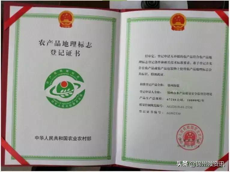 辽宁国家级示范区规划,辽宁凌海农业发展