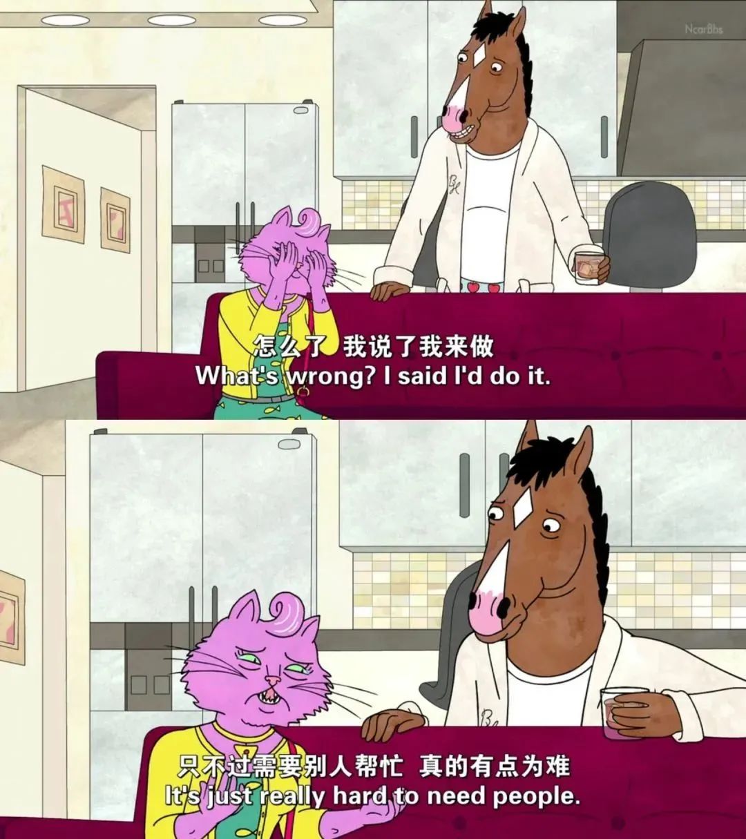 今日图文分享,今日分享图片配文字