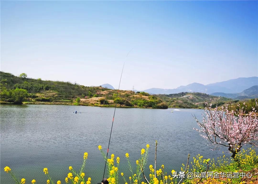 金华新狮街道花木之窗,婺城花木之窗