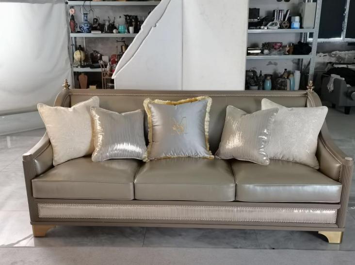 柠檬能消除真皮沙发异味吗,顾家真皮沙发有异味