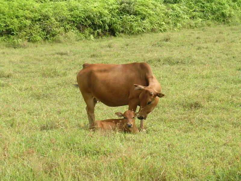 令人动容的图片,令人动容的电影大全
