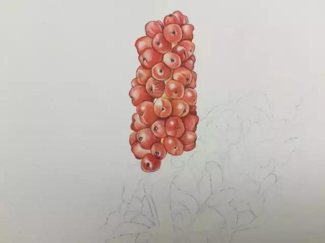 水彩密密麻麻的树叶怎么画,水彩画教程入门叶子