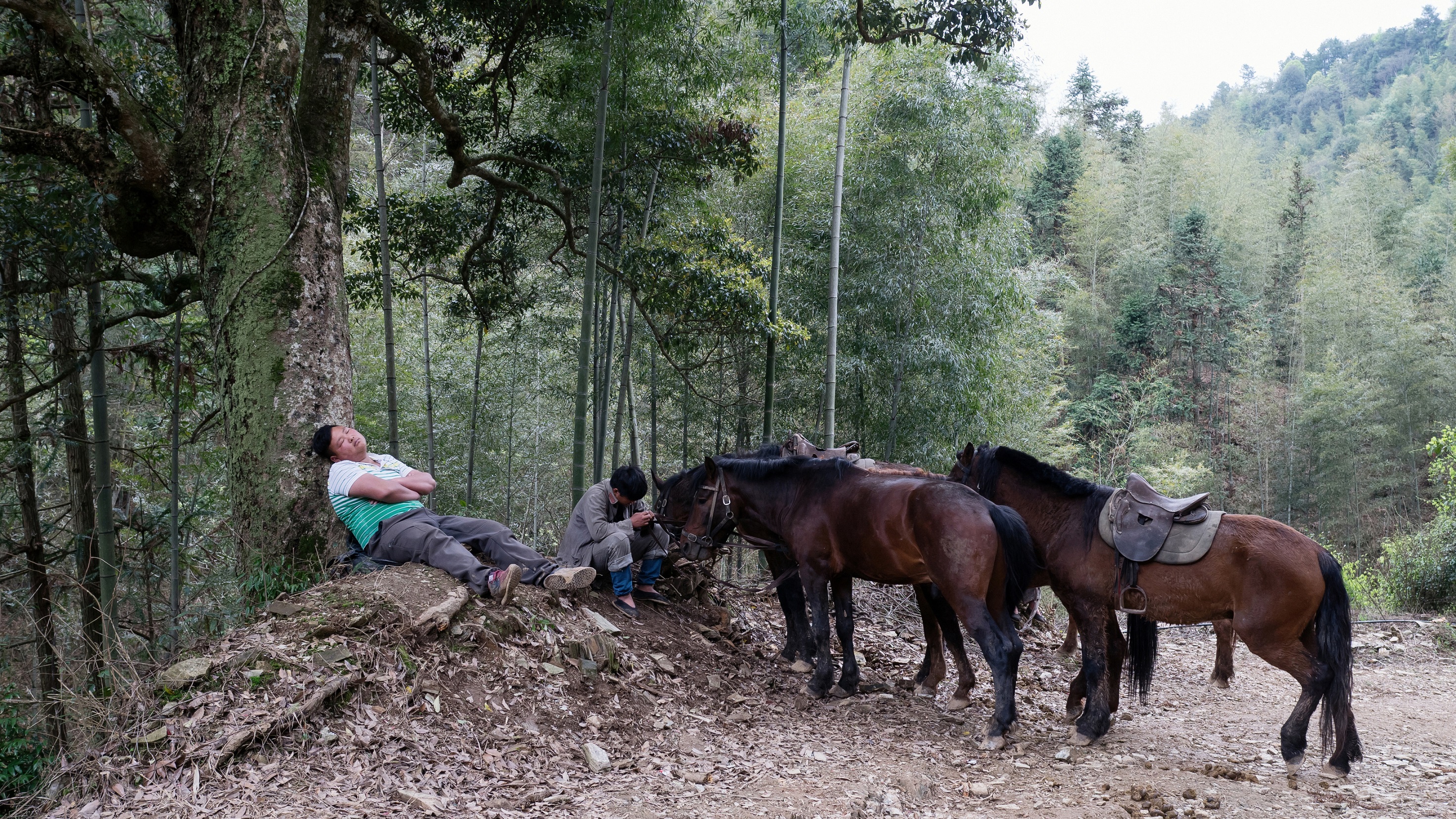 我拍了数千名路人甲，“成年人不要给自己编织梦想”|图集