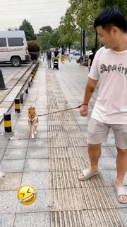 假胸、假腰、假屁股，还有什么是真的？网友：再也不相信女人了