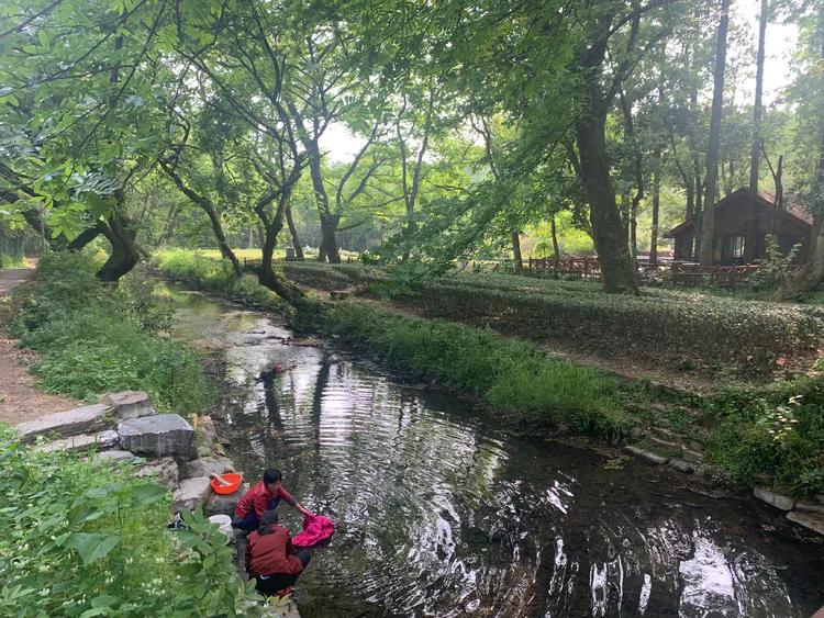 龙井村九溪十八涧徒步最佳路线图,九溪十八涧只有龙井村一个出口吗
