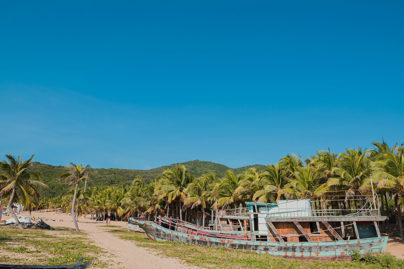 你在南方瑟瑟发抖，我在这里遛娃、看猴、赶海····