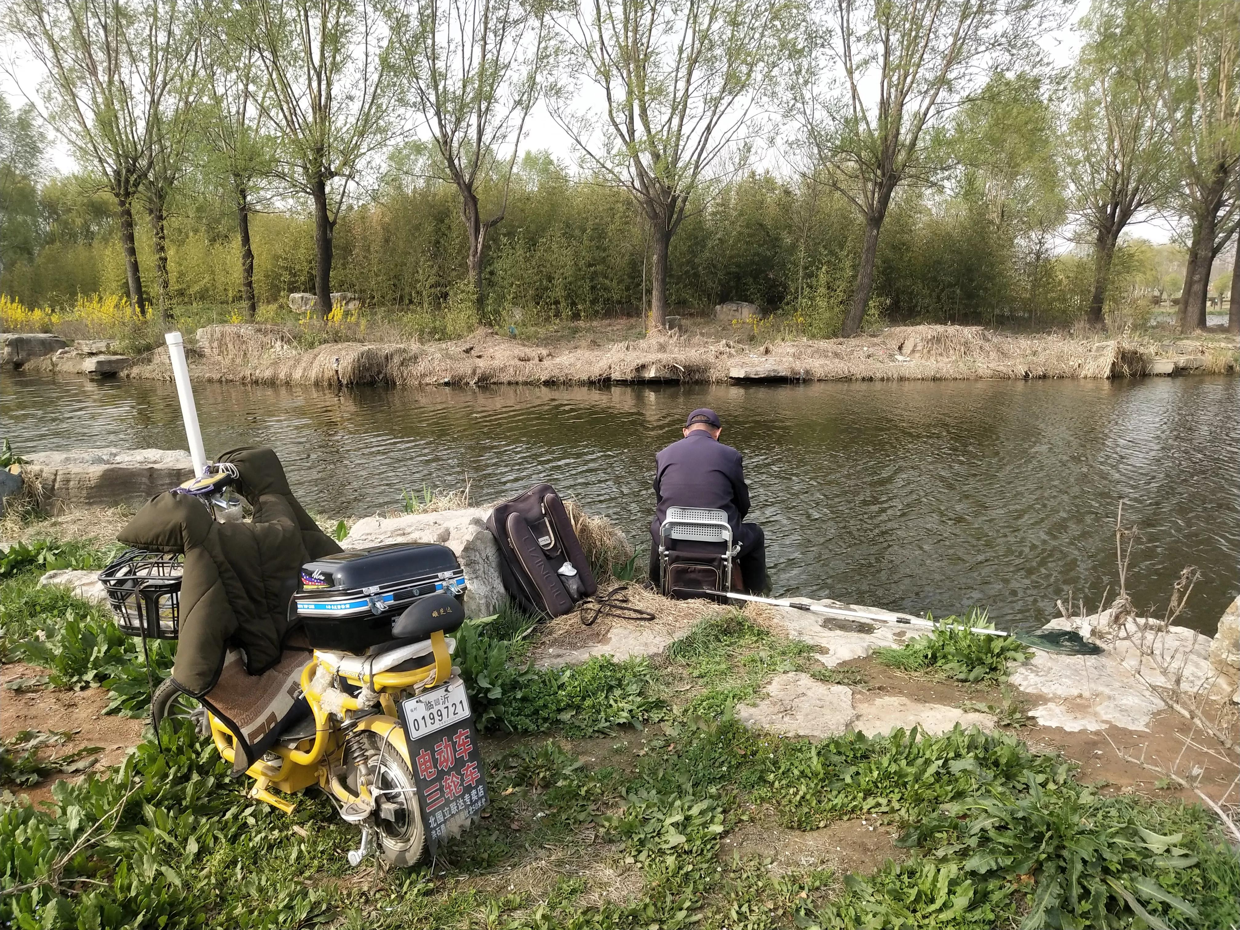 美味但少有人吃，有着强悍的“鱼生”，却被钓鱼人叫成“过街鼠”