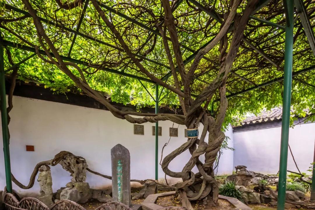 2021年全球十大博物馆,最值得去的十个博物馆