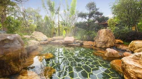 旱雪滑雪感觉,旱雪滑雪怎么玩