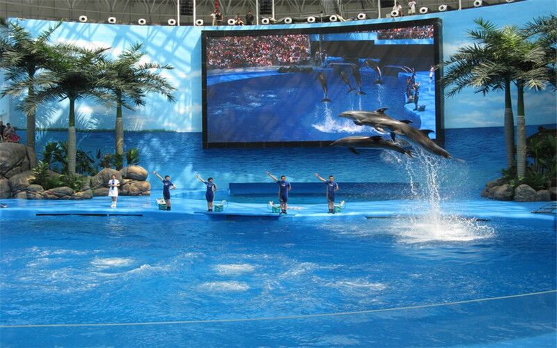 杭州海洋极地公园游玩攻略,杭州极地海洋公园游记