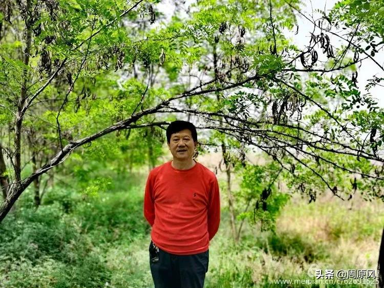 赴一场春日的邀约,五月赴一场与槐花的约会